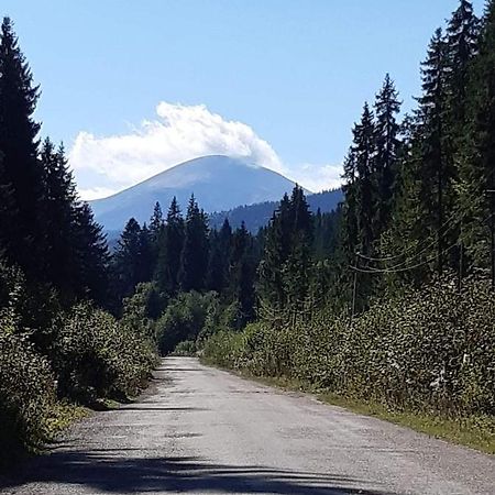 Говерлянка Vila Vorokhta Exterior foto
