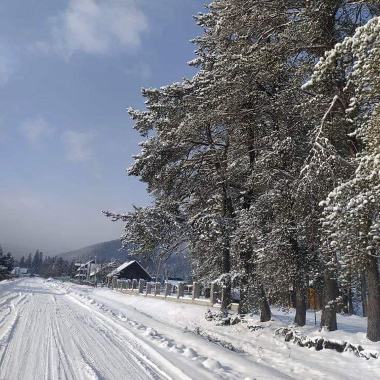 Говерлянка Vila Vorokhta Exterior foto