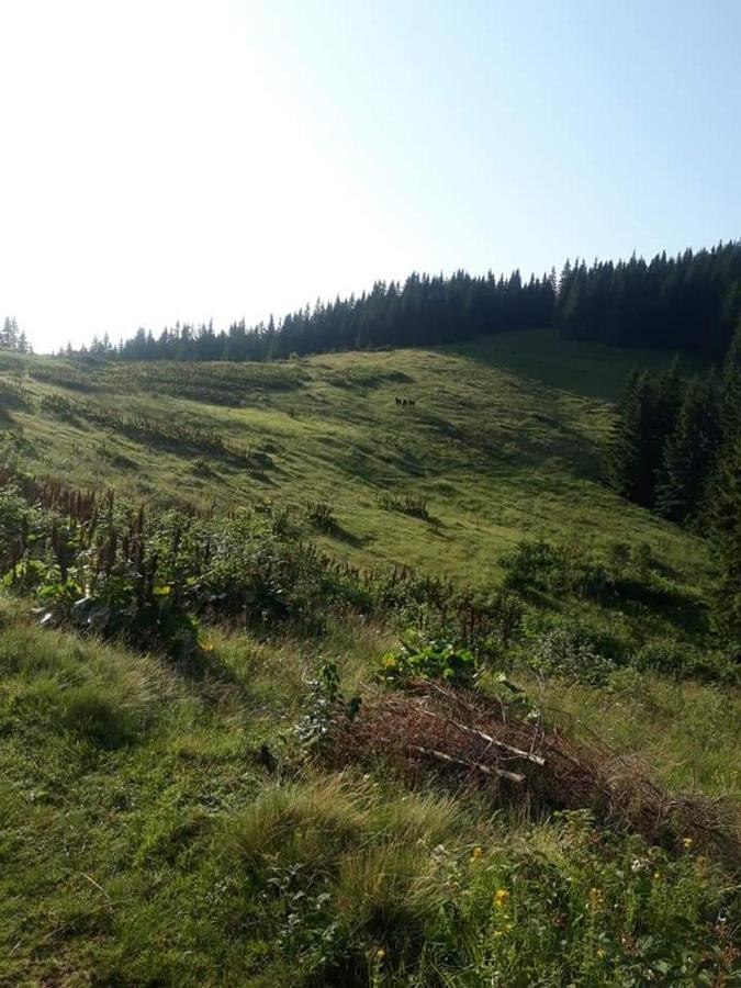 Говерлянка Vila Vorokhta Exterior foto