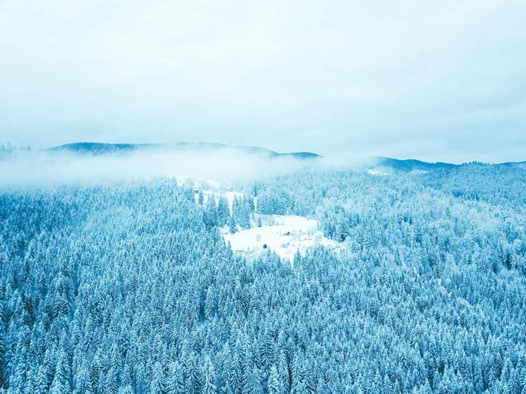 Говерлянка Vila Vorokhta Exterior foto