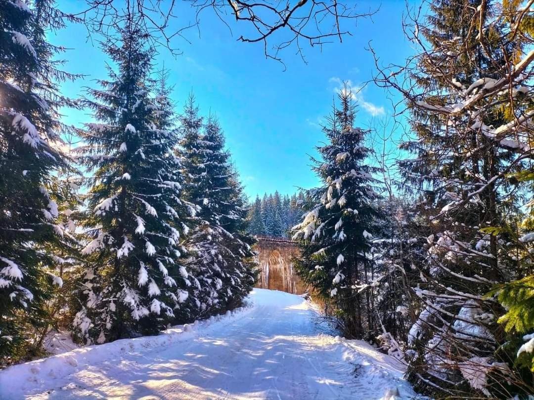 Говерлянка Vila Vorokhta Exterior foto