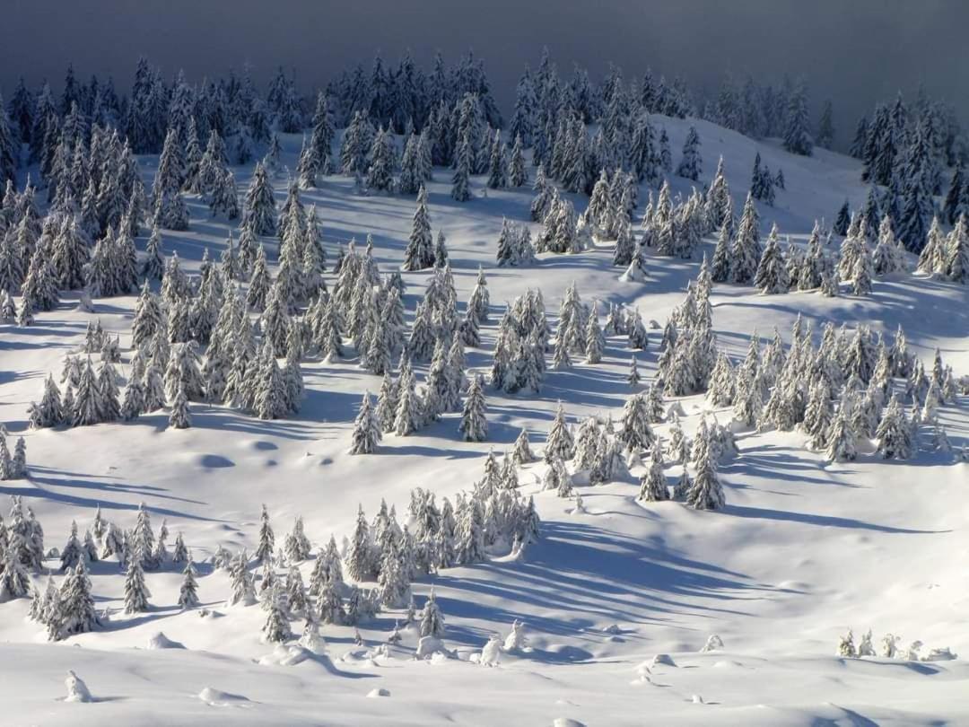 Говерлянка Vila Vorokhta Exterior foto